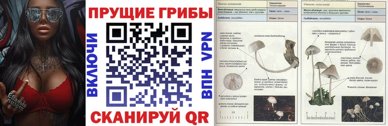 Псилоцибиновые грибы мухоморы  Купить  Новоузенск 